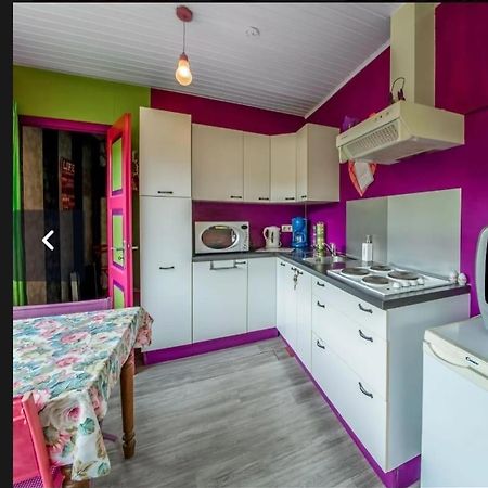 הופליזה Yourte Mongole Et Cabane מראה חיצוני תמונה