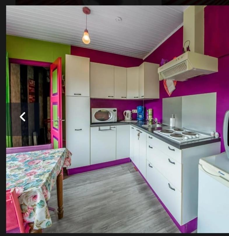 הופליזה Yourte Mongole Et Cabane מראה חיצוני תמונה